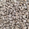 Yunnan Arabica Green Coffee Bean