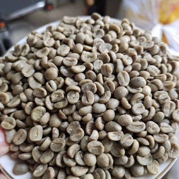 Yunnan Arabica Green Coffee Bean