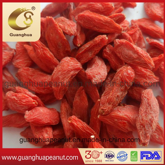 Organic Goji Berry Healthy Product