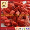 Organic Goji Berry Healthy Product
