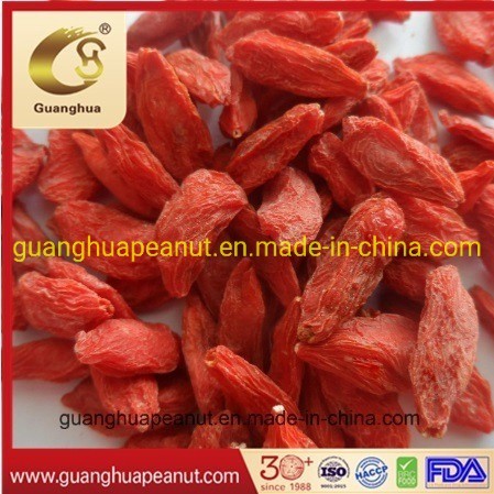 Organic Goji Berry Healthy Product