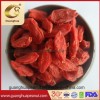 Organic Goji Berry Healthy Product