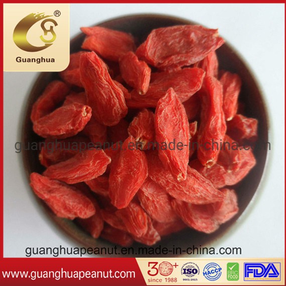 Organic Goji Berry Healthy Product