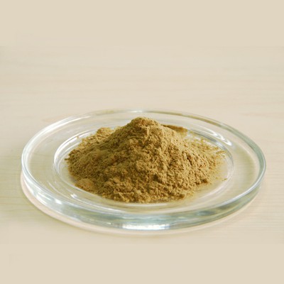 Reishi Mushroom Extract, Reishi Mushroom Powder, Ganoderma Lucidum Extract