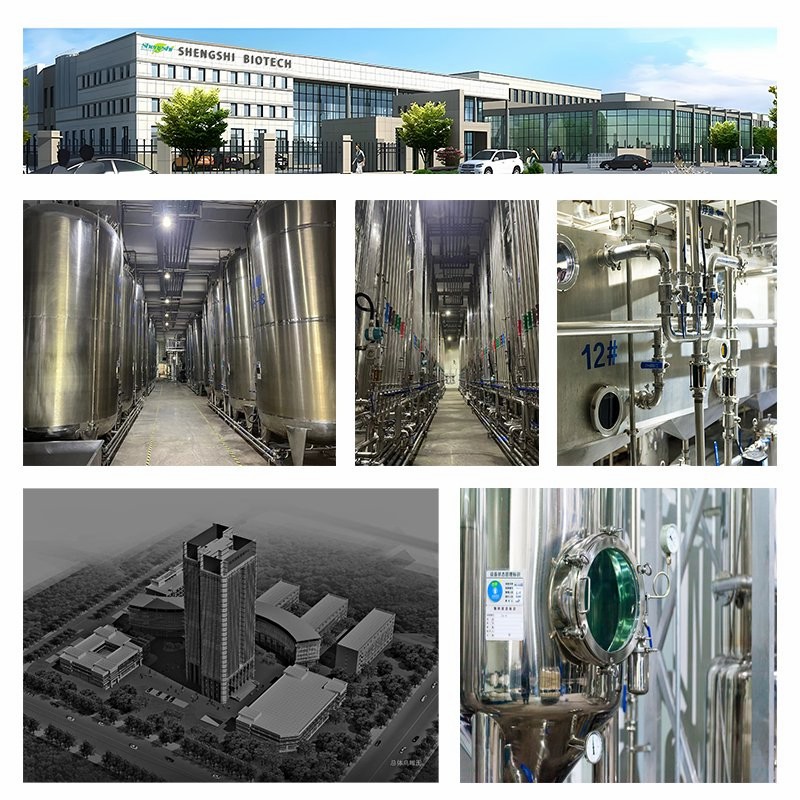 Reishi Mushroom Extract, Reishi Mushroom Powder, Ganoderma Lucidum Extract