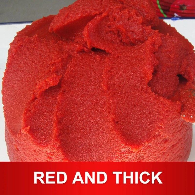 Tomato Paste of Best Brand 2.2 Kg Tomato Paste 400g