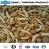 Best Quality Nameko Mushroom in Whole Vegan Natural Plant-Based Product