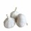 New Crop Garlic Price Garlic 10kg Carton