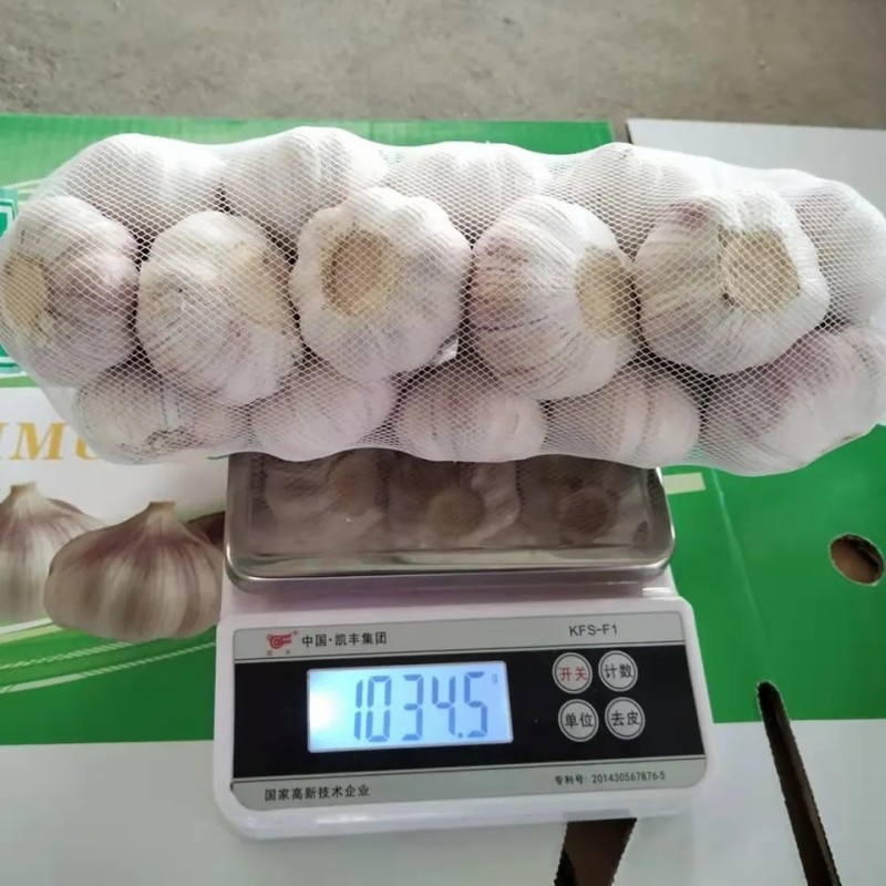New Crop Garlic Price Garlic 10kg Carton