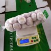 New Crop Garlic Price Garlic 10kg Carton