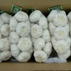 New Crop Garlic Price Garlic 10kg Carton
