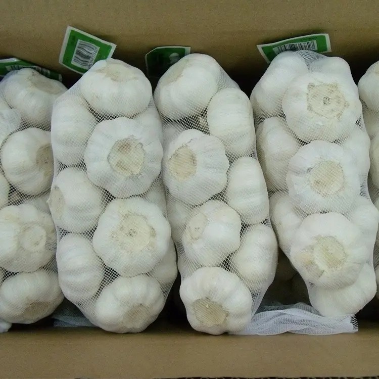 New Crop Garlic Price Garlic 10kg Carton