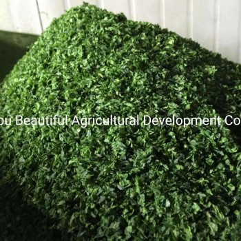 Dried Ulva Seaweed The Best Quality Competitive Price