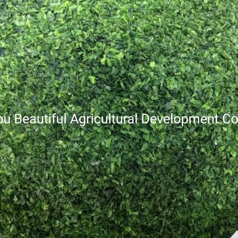 Dried Ulva Seaweed The Best Quality Competitive Price