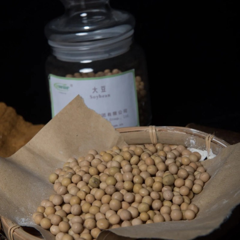 Soy Protein Concentrate with Excellent Gel and Emulsification Ability