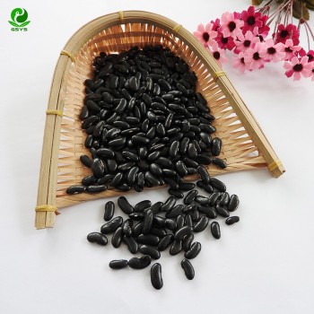 Wholesale High Kidney Beans Export Little Black Kidney Bean