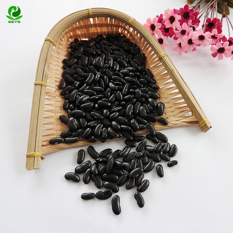 Wholesale High Kidney Beans Export Little Black Kidney Bean