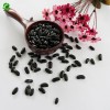 Wholesale High Kidney Beans Export Little Black Kidney Bean