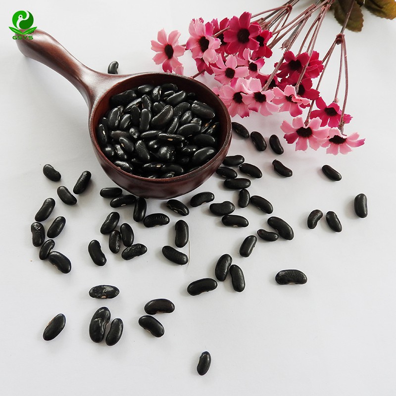 Wholesale High Kidney Beans Export Little Black Kidney Bean