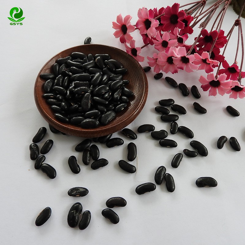 Wholesale High Kidney Beans Export Little Black Kidney Bean