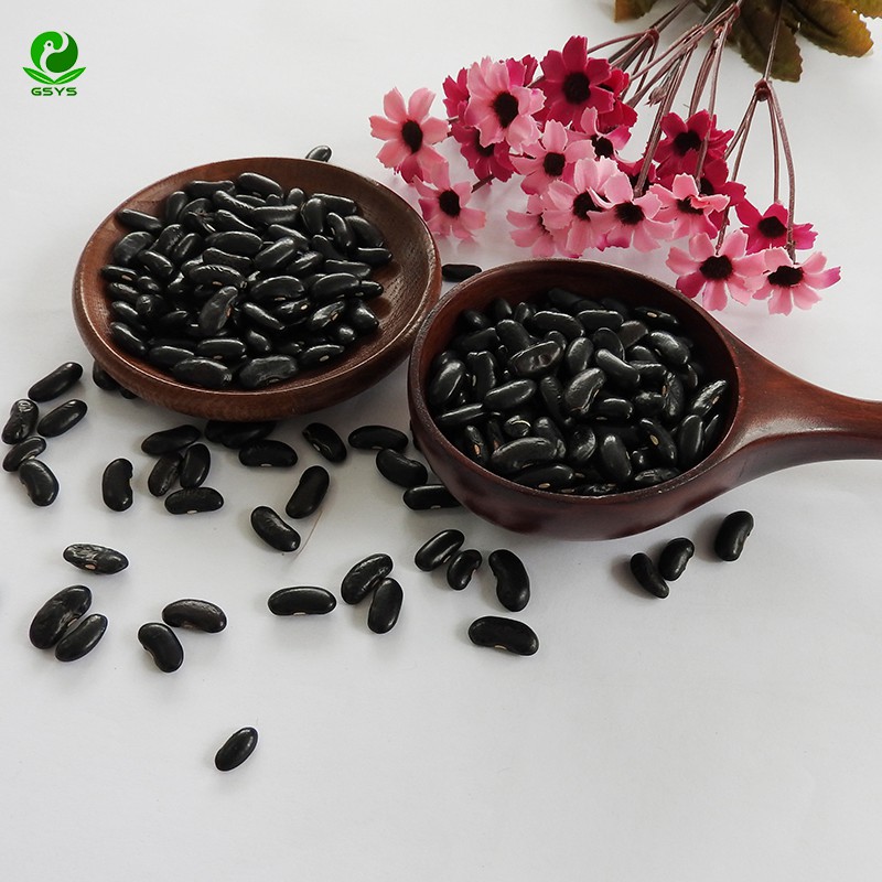 Wholesale High Kidney Beans Export Little Black Kidney Bean