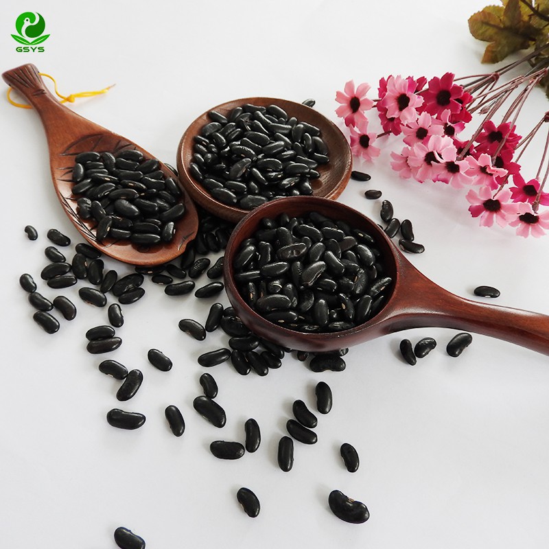 Wholesale High Kidney Beans Export Little Black Kidney Bean