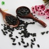 Wholesale High Kidney Beans Export Little Black Kidney Bean
