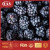 New Crop High Quality IQF Freeze Frozen Blackberry