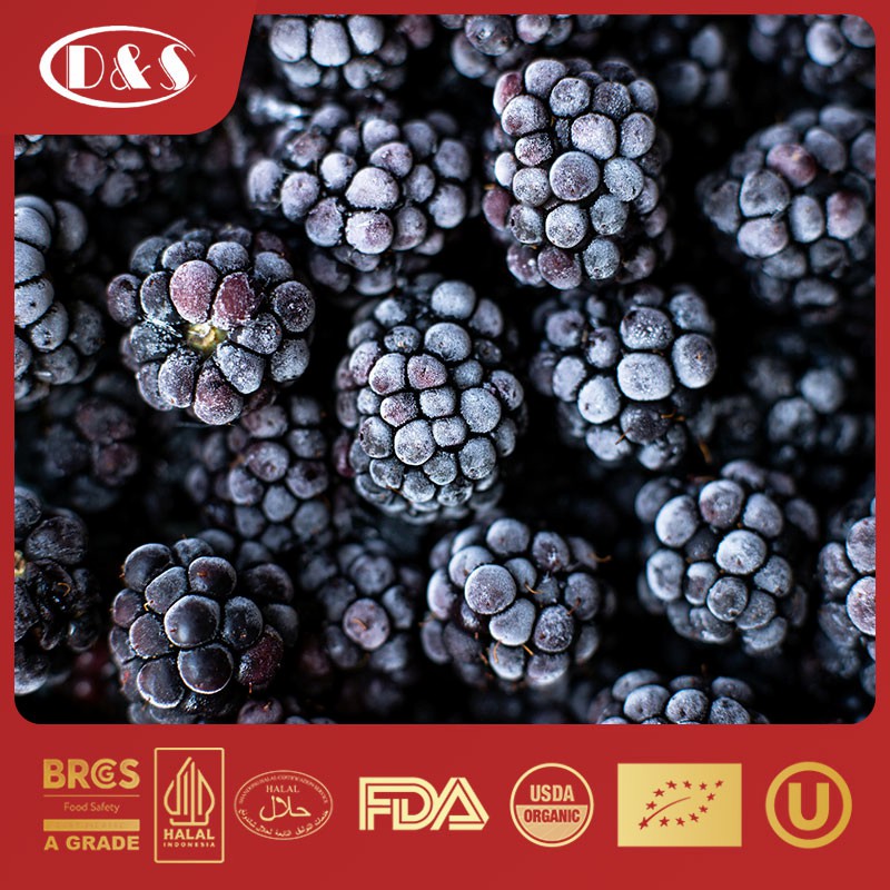New Crop High Quality IQF Freeze Frozen Blackberry