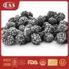 New Crop High Quality IQF Freeze Frozen Blackberry
