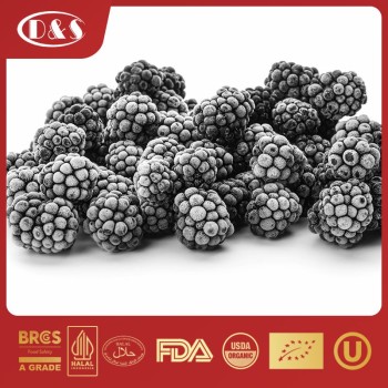 New Crop High Quality IQF Freeze Frozen Blackberry