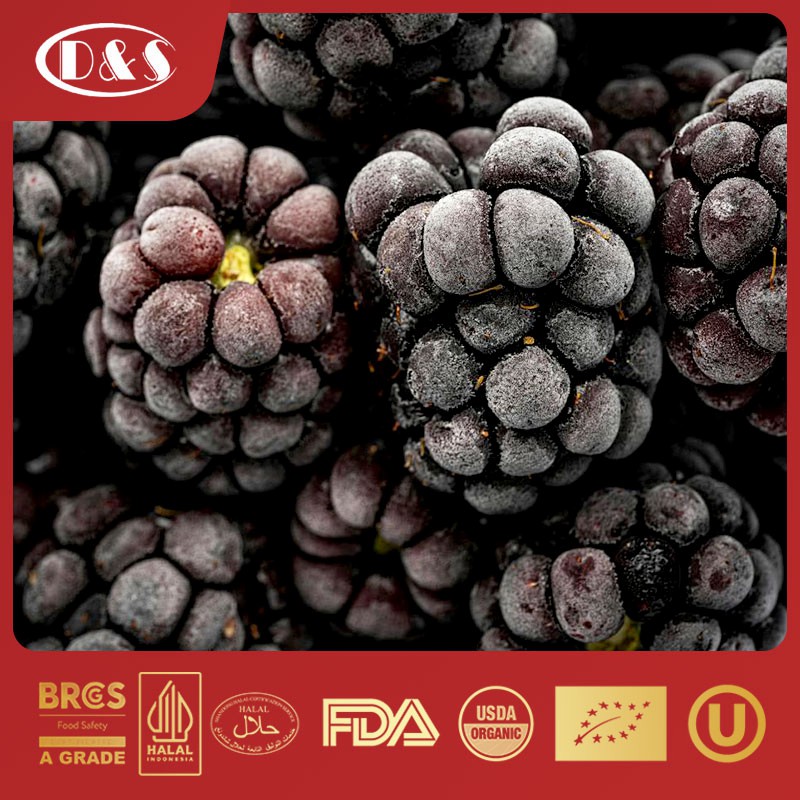 New Crop High Quality IQF Freeze Frozen Blackberry