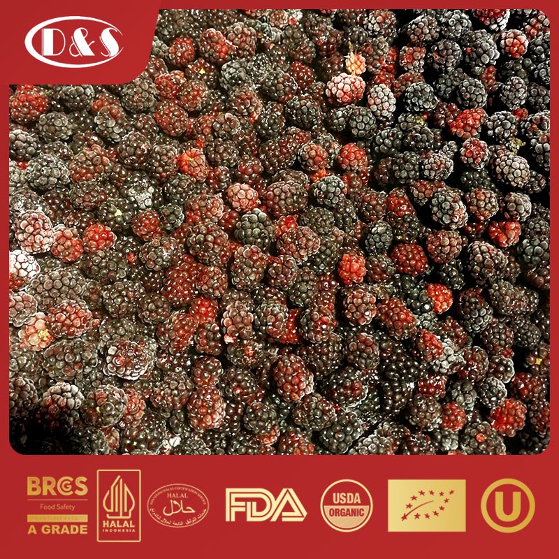 New Crop High Quality IQF Freeze Frozen Blackberry