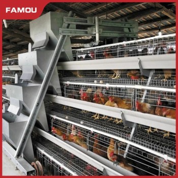 New Design Chicken Poultry Layer Farm a Type Cage with 275g Zinc Hot Dipped Galvanized Magnesium-Zinc Plated Wire Automated Trolley Feed