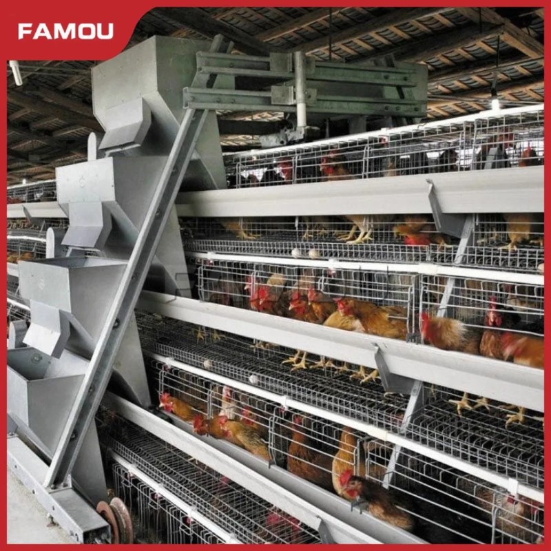New Design Chicken Poultry Layer Farm a Type Cage with 275g Zinc Hot Dipped Galvanized Magnesium-Zinc Plated Wire Automated Trolley Feed