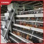 New Design Chicken Poultry Layer Farm a Type Cage with 275g Zinc Hot Dipped Galvanized Magnesium-Zinc Plated Wire Automated Trolley Feed
