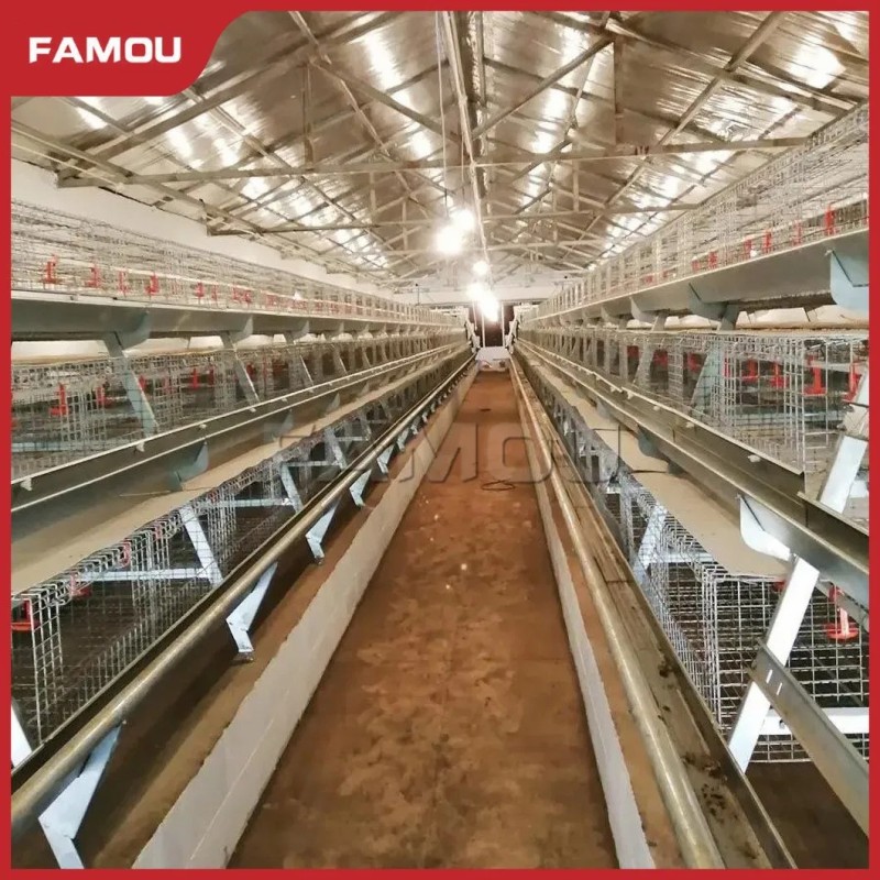 New Design Chicken Poultry Layer Farm a Type Cage with 275g Zinc Hot Dipped Galvanized Magnesium-Zinc Plated Wire Automated Trolley Feed