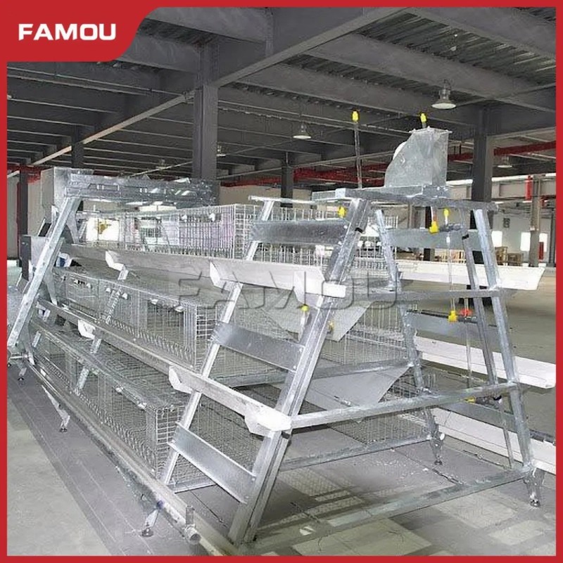New Design Chicken Poultry Layer Farm a Type Cage with 275g Zinc Hot Dipped Galvanized Magnesium-Zinc Plated Wire Automated Trolley Feed
