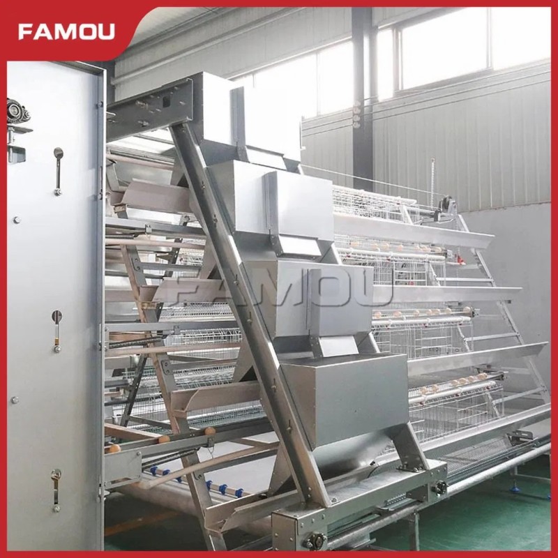 New Design Chicken Poultry Layer Farm a Type Cage with 275g Zinc Hot Dipped Galvanized Magnesium-Zinc Plated Wire Automated Trolley Feed
