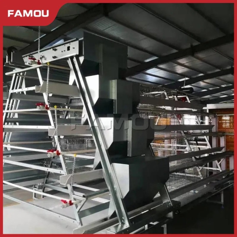 New Design Chicken Poultry Layer Farm a Type Cage with 275g Zinc Hot Dipped Galvanized Magnesium-Zinc Plated Wire Automated Trolley Feed