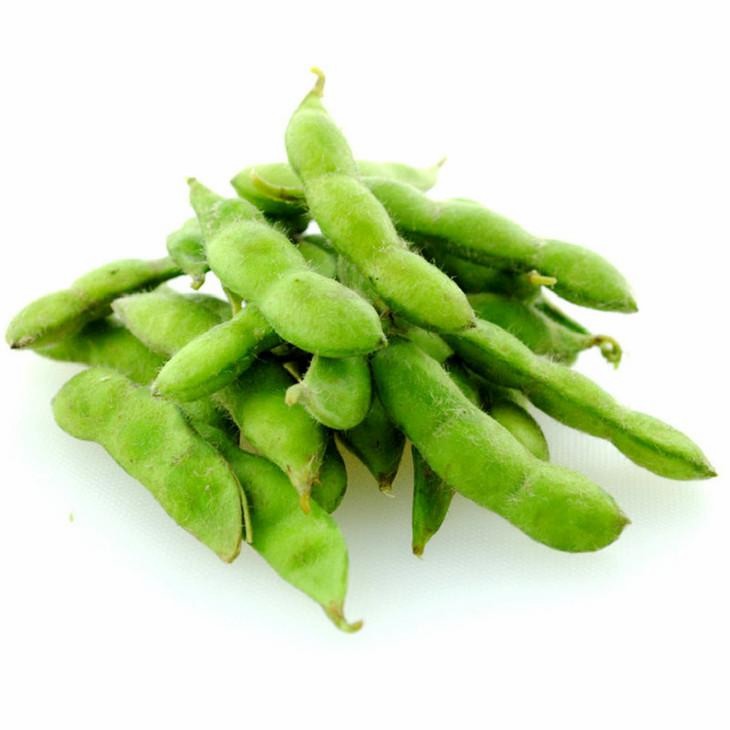 Best Seller Crispy Unsalted Dry Roasted Edamame Kernel