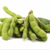 Best Seller Crispy Unsalted Dry Roasted Edamame Kernel