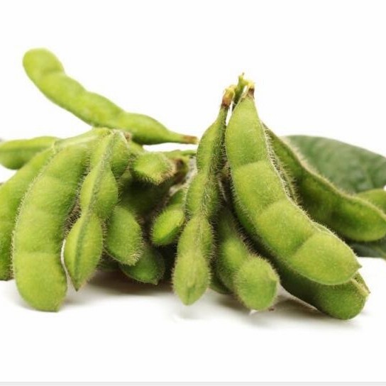 Best Seller Crispy Unsalted Dry Roasted Edamame Kernel