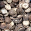 IQF Mushroom Frozen Shiitake Price Whole for Export