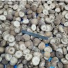 IQF Mushroom Frozen Shiitake Price Whole for Export