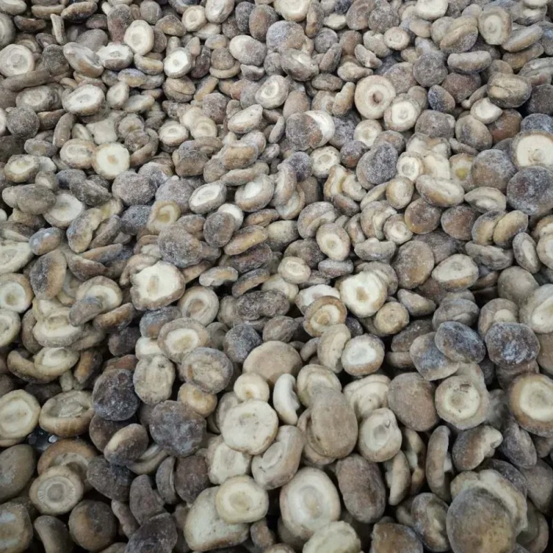 IQF Mushroom Frozen Shiitake Price Whole for Export