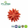 Premium Quality Ningxia Organic Dried Goji Berry Bulk for Food Ingredient Supply