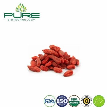 Premium Quality Ningxia Organic Dried Goji Berry Bulk for Food Ingredient Supply
