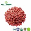 Premium Quality Ningxia Organic Dried Goji Berry Bulk for Food Ingredient Supply