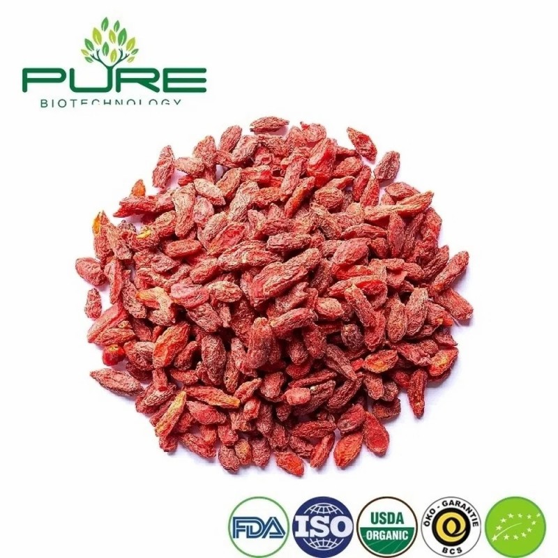 Premium Quality Ningxia Organic Dried Goji Berry Bulk for Food Ingredient Supply
